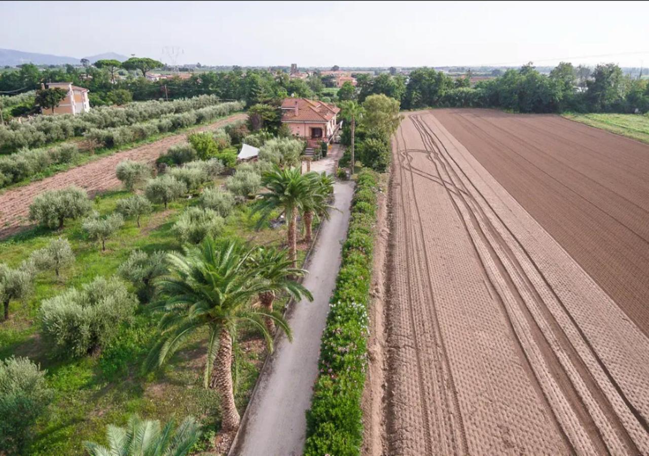 Villa Rosa Lifestyle B&B Sessa Aurunca Exterior photo